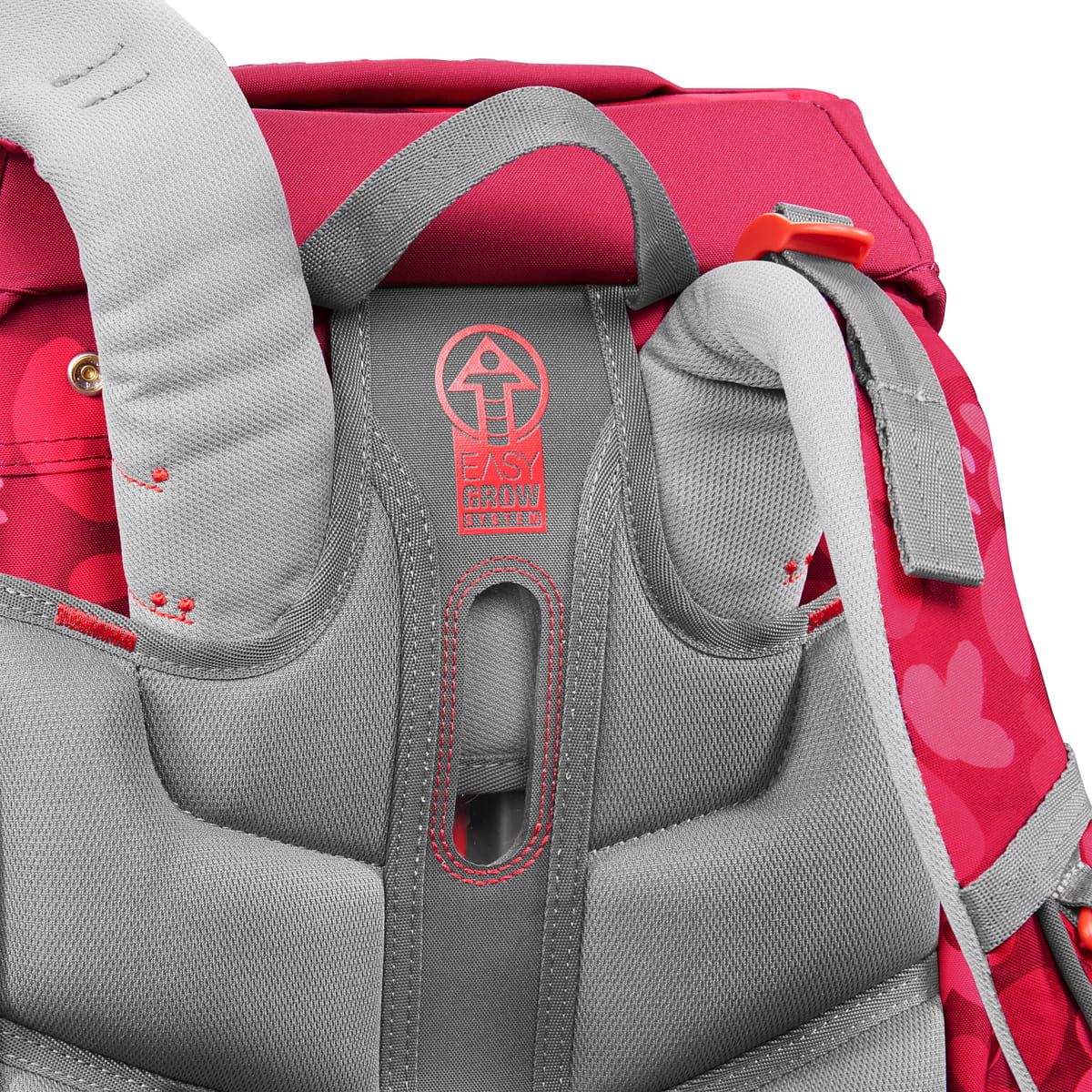 00138056det Step by Step Giant Wild Horse Nora