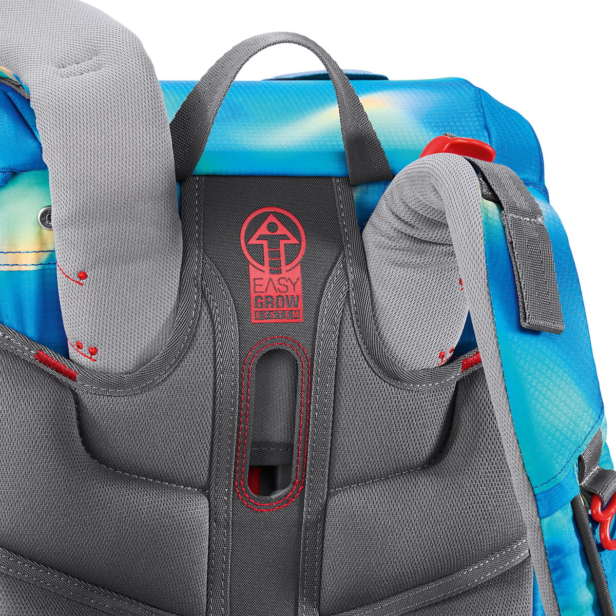 00222615det Step by Step Cloud Flash Ninja Zazu